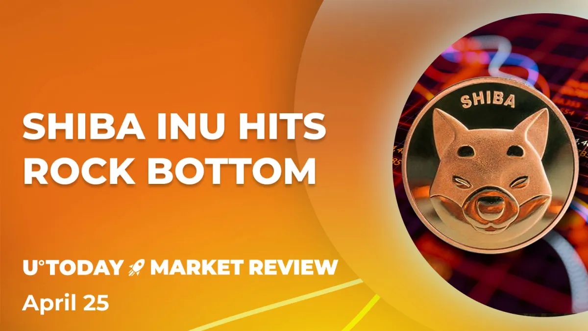 Shiba Inu (SHIB) Trading Volume Hits Rock Bottom, What's Next? 