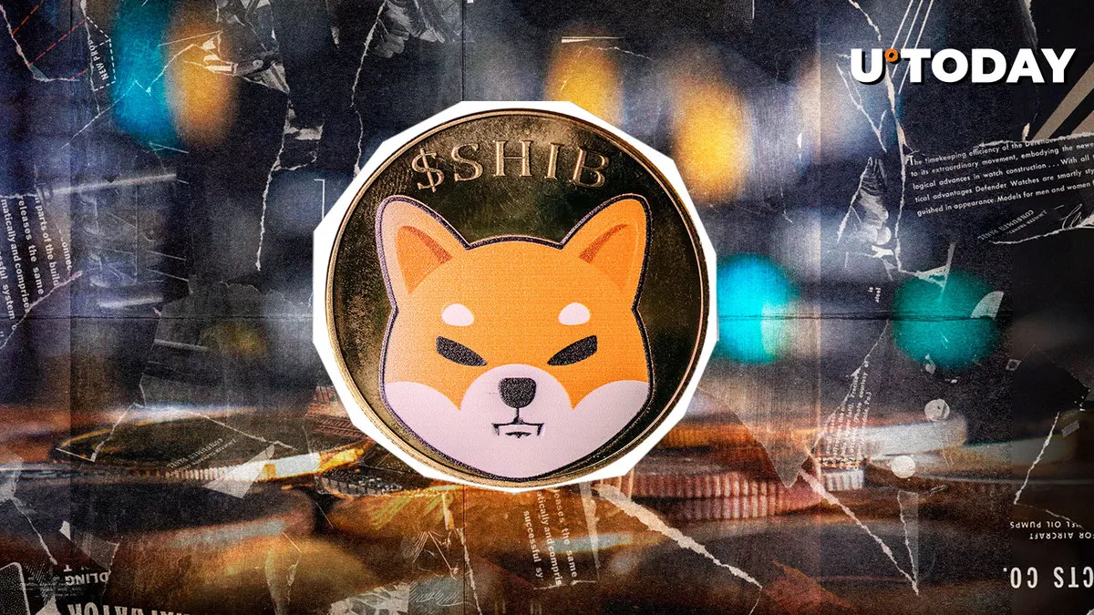 0 Shiba Inu (SHIB) in 24 Hours, What's Happening?