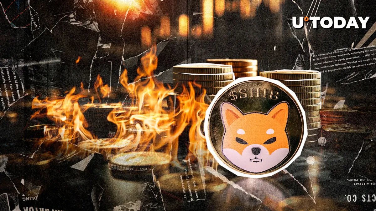 SHIB Burn Rate Plunges 82.58% in 7 Days Amid Market Turmoil