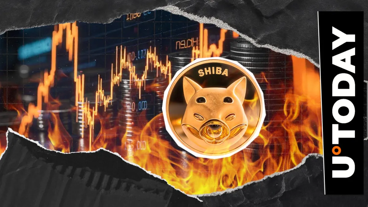 9,008,448 SHIB Burned in Days: Shiba Inu Metric Rockets 10,021%
