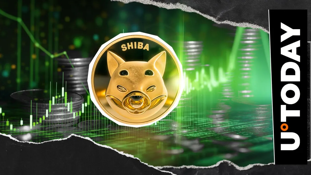 Shiba Inu (SHIB) up 988% in Exchange Inflows in Only 24 Hours: This Is Crucial