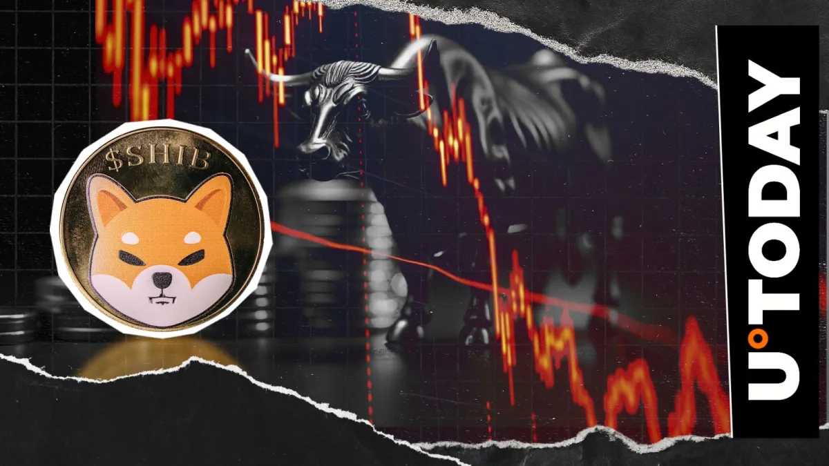 Shiba Inu (SHIB) Lost 81,004,189,771 in 24 Hours, But It's Bullish