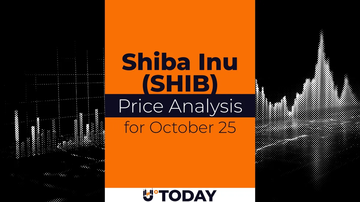 SHIB Price Analysis for October 25