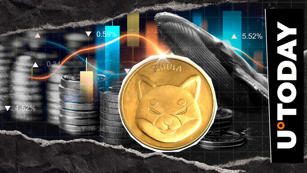 Shiba Inu (SHIB): 70% in 48-Hour Spike Raises Questions