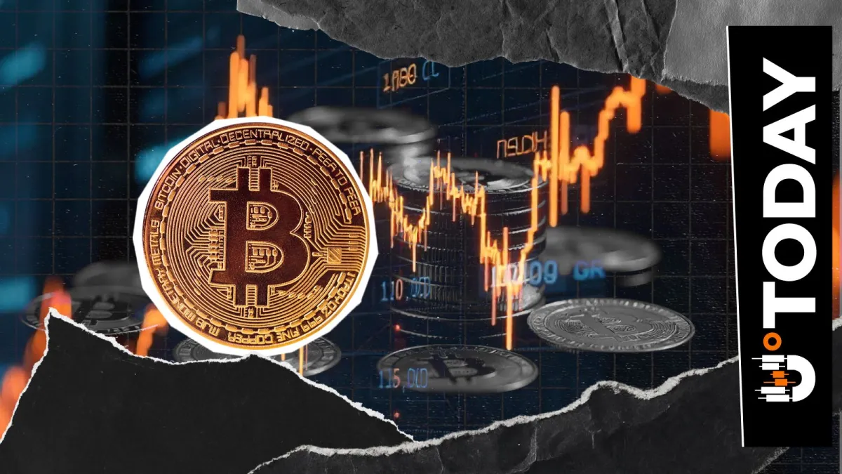 3 Crucial Triggers for Bitcoin Price Rebound Right Now Revealed by Top On-Chain Expert