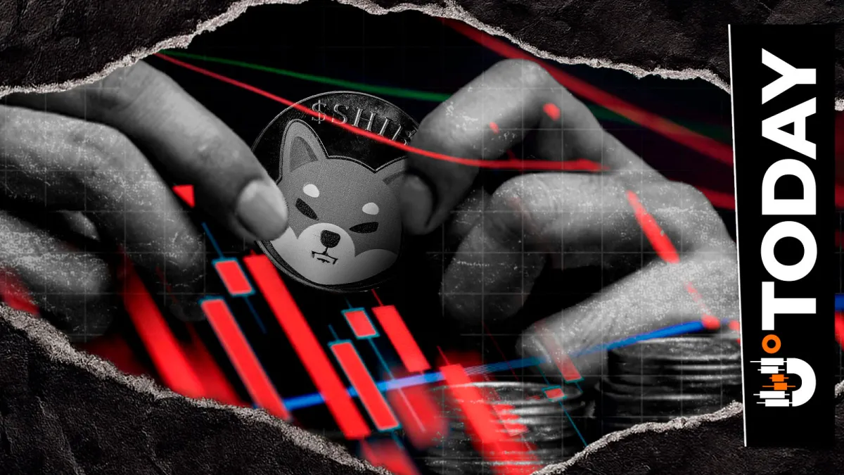433% Shiba Inu Explosion: SHIB Exchanges Bleeding?