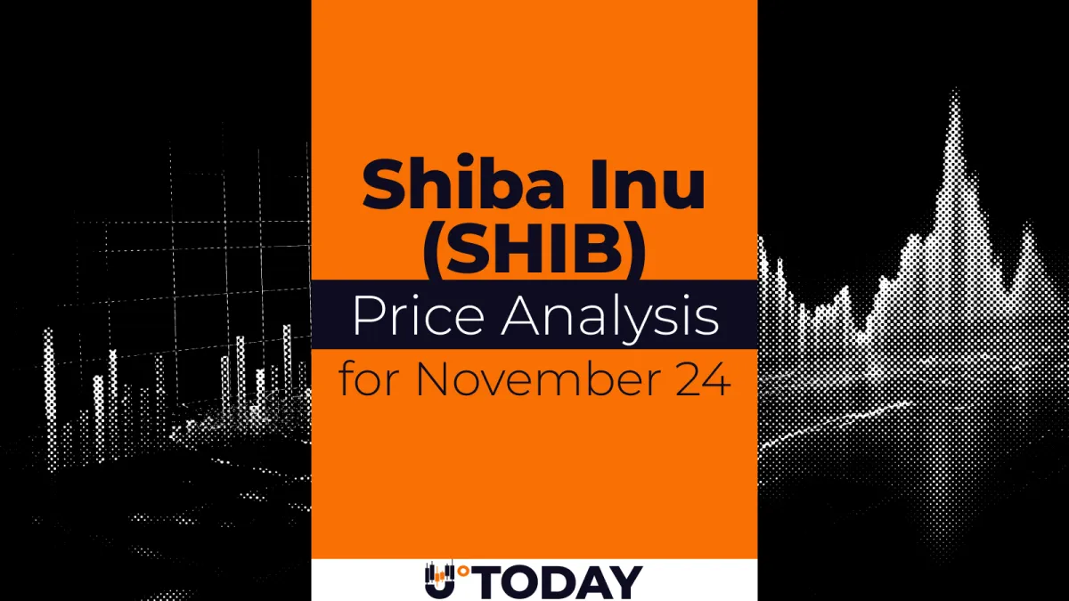 SHIB Price Analysis for November 24