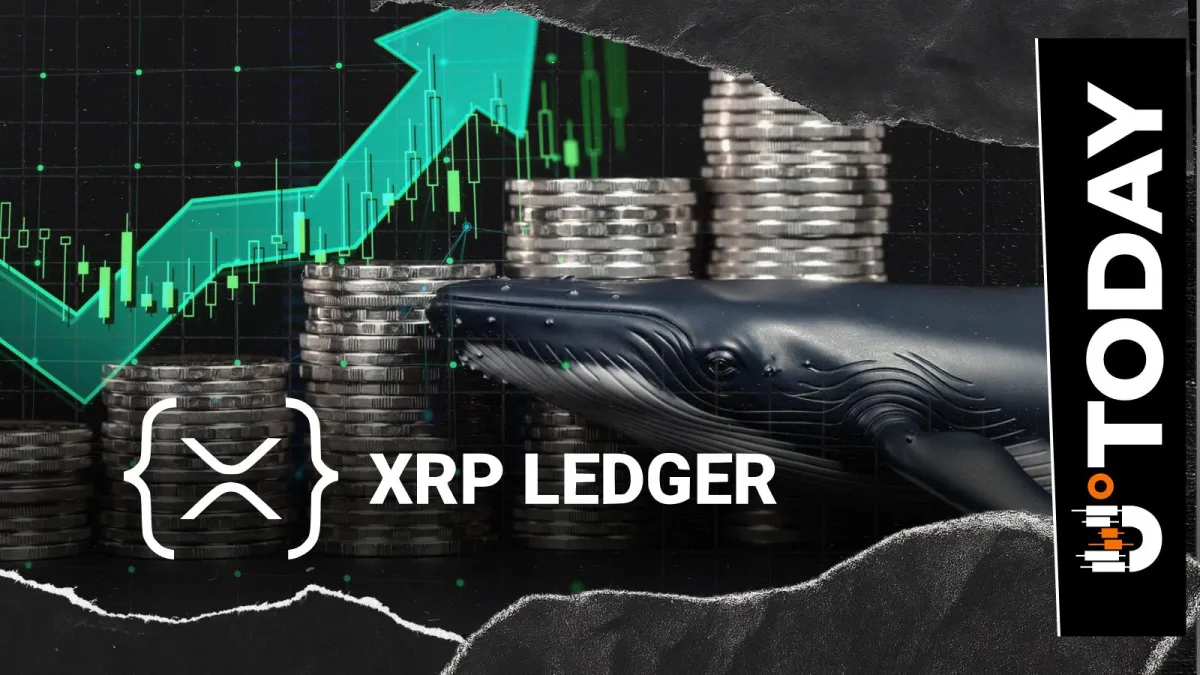 XRP Ledger Hits 3-Month High in Whale Activity, What Does It Mean for Price?
