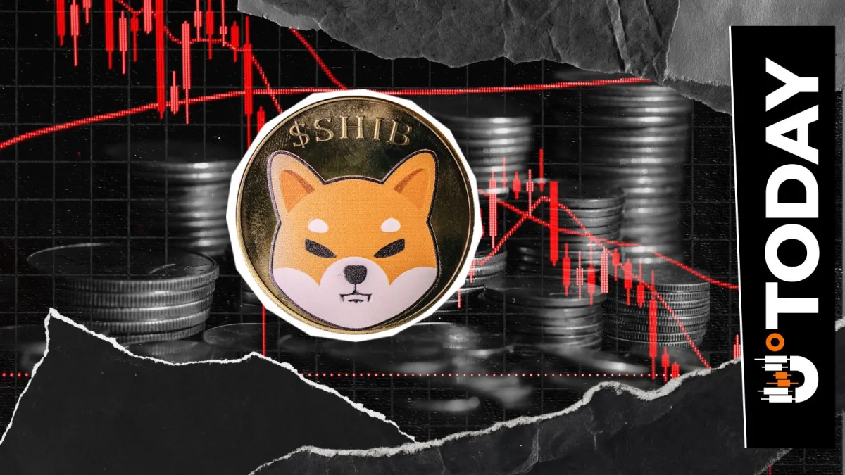 'Stay Strong' Shiba Inu Team Member Speaks as SHIB 2026 Rally Stumbles