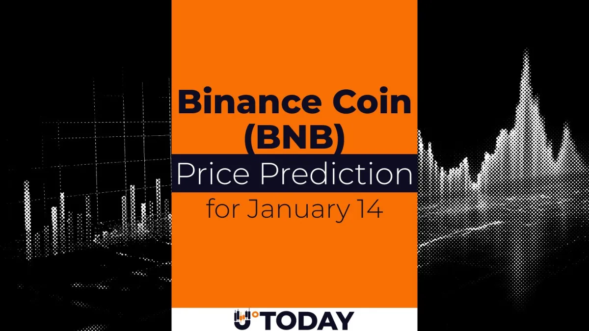 Binance Coin (BNB) Price Analysis for January 14