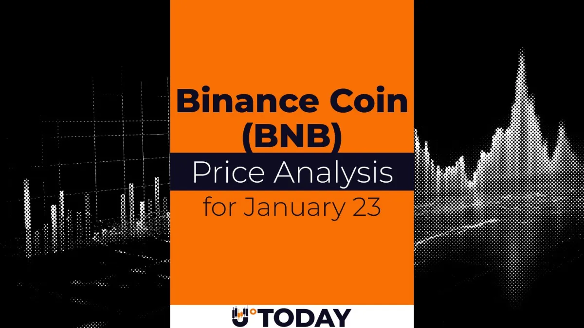 Binance Coin (BNB) Price Analysis for January 23