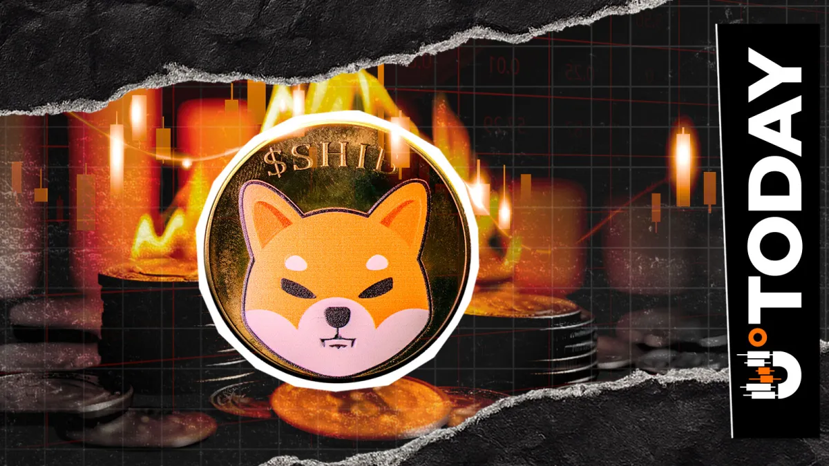 SHIB Burns Collapse 94% Despite Recent Ultra-Bullish Message From SHIB Team