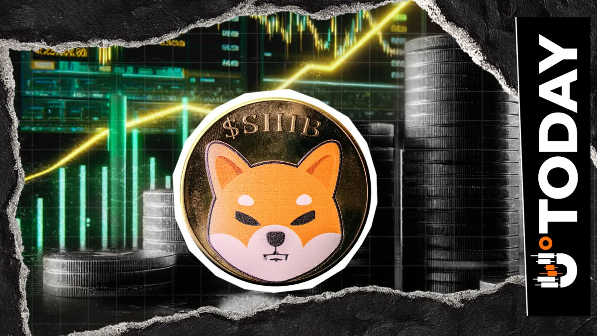 Mind-Blowing 652,000,000,000 Shiba Inu (SHIB) in 24 Hours: What Was That?