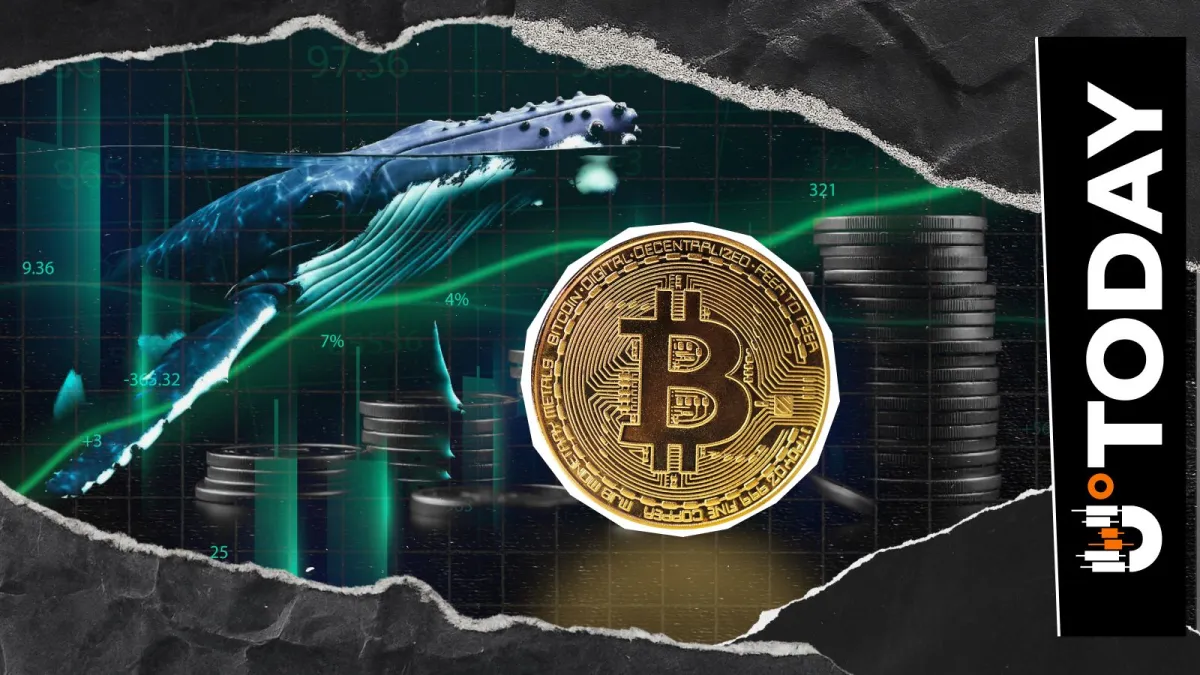 7-Year Dormant Bitcoin Whale Wakes Up, Moves 2,043 BTC