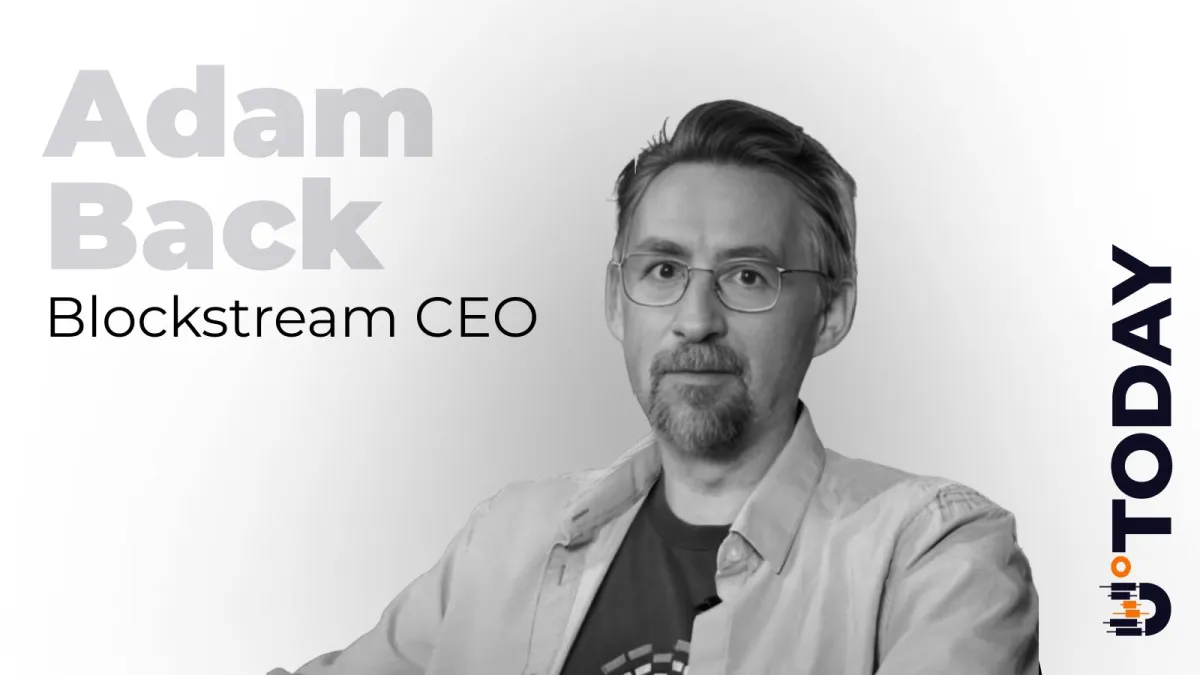 Is Bitcoin a Democracy? Adam Back Clarifies Protocol's Nondemocratic DNA