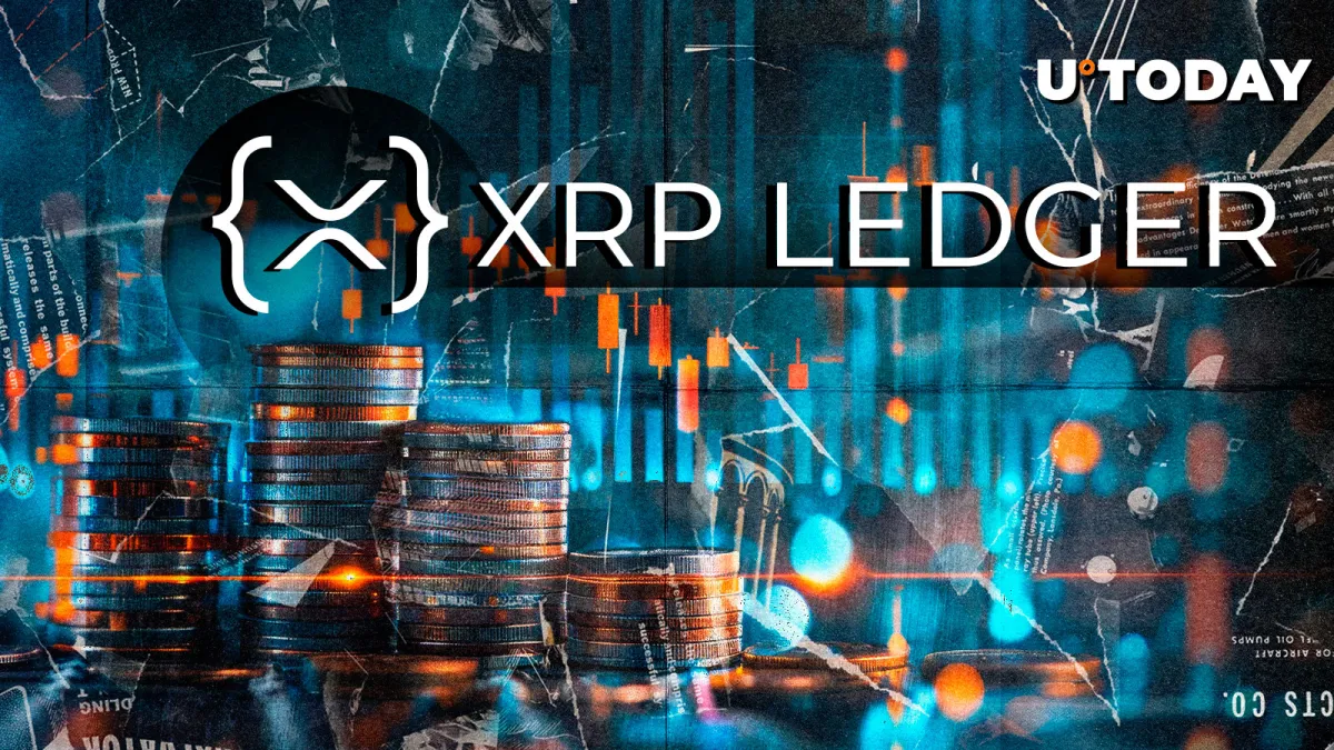 XRPL Foundation Appoints New Executive Director