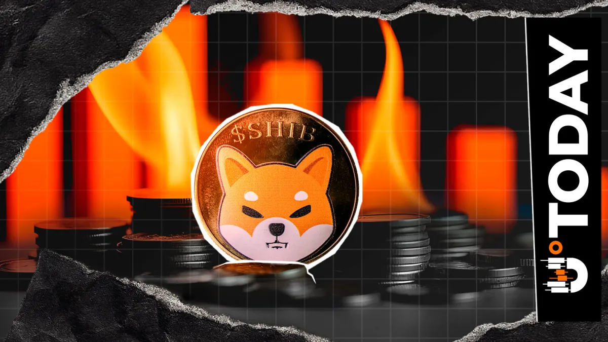 SHIB Burn Metric Stuns With Massive 91% Crash: Details