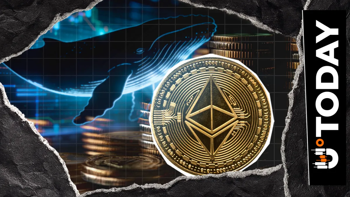 Ethereum Whale Buys $100 Million ETH as On-Chain Activity Hits Record Highs