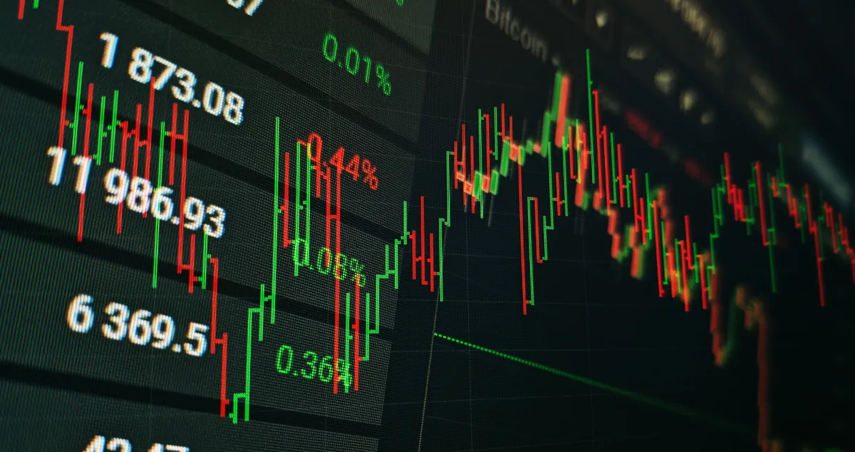 Elon Musk Inspires Another Memecoin, It Rallies 54,661% and Literally Called SCAM