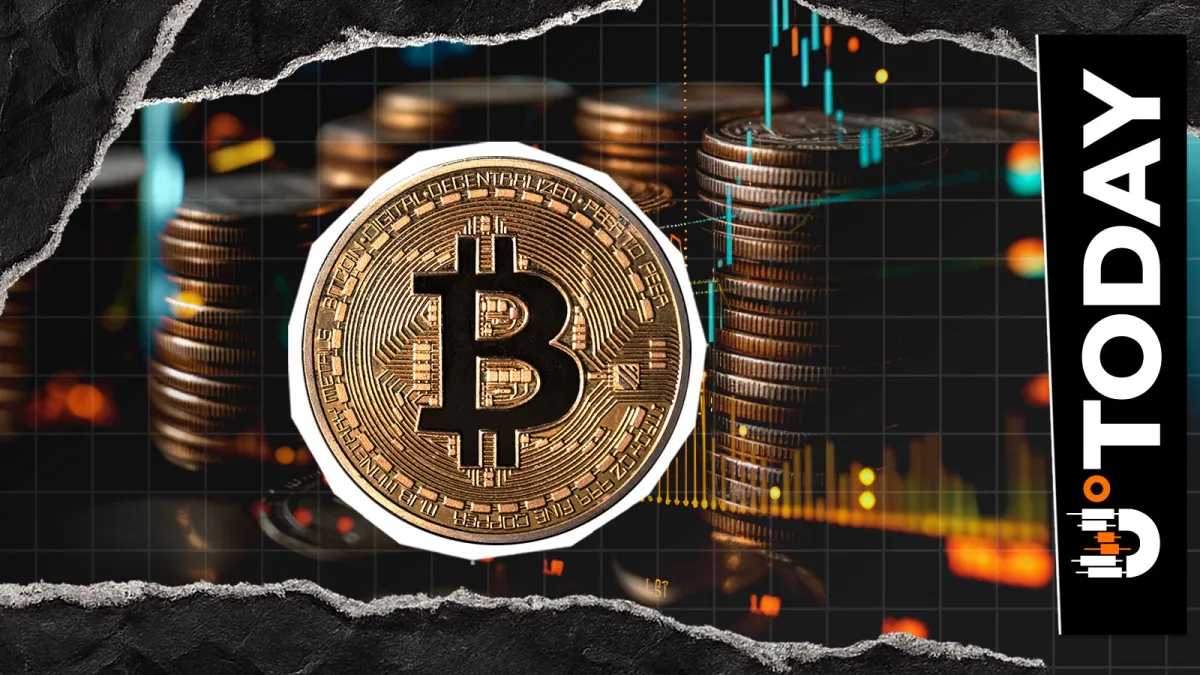Bitcoin Hits $79,000 as a 4,362% Liquidation Imbalance Confirms a Massive Short Squeeze