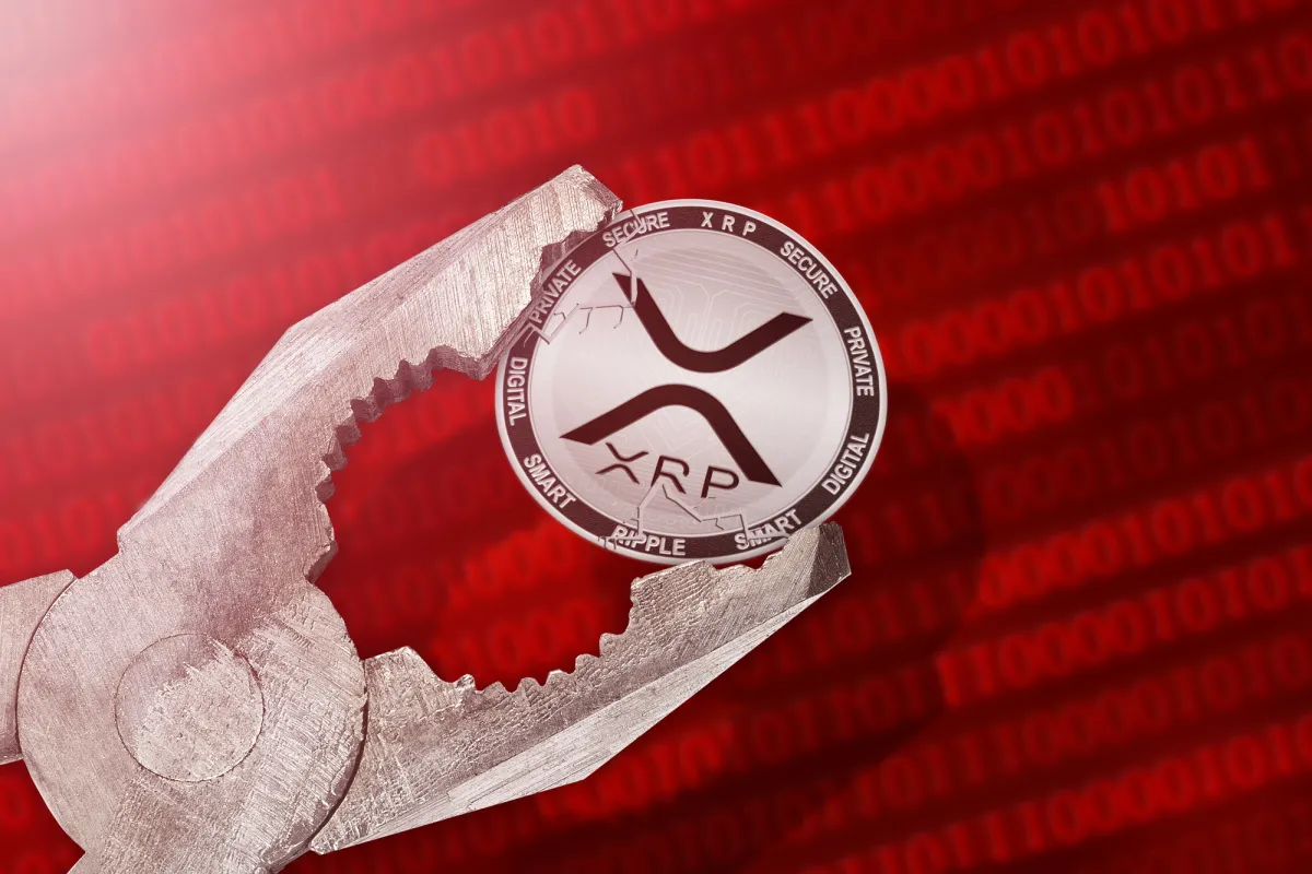 Almost 3,000 New XRP Ledger Users per Day: Can It Turn Around Trend?