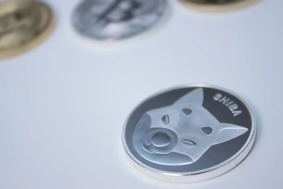 Shiba Inu (SHIB) Outflows Spike Violently as Traders Rush to Self-Custody