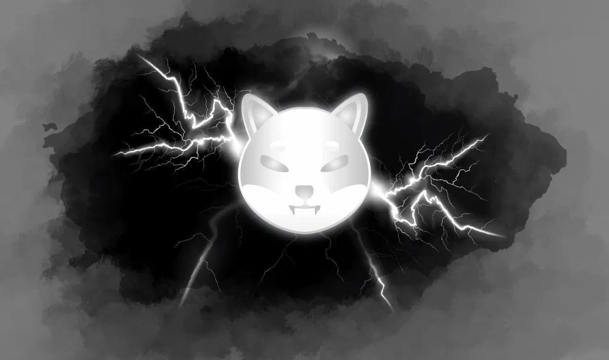 Are SHIB Whales Afraid of a 'Ryoshi Dump'? Billions of Shiba Inu Coins Sent to Binance, Again
