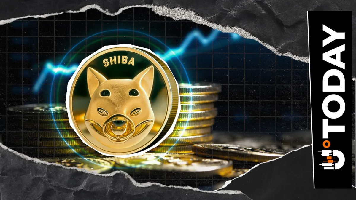 Shiba Inu Holders Extend Aggressive Selling as 207 Billion SHIB Exit Exchanges