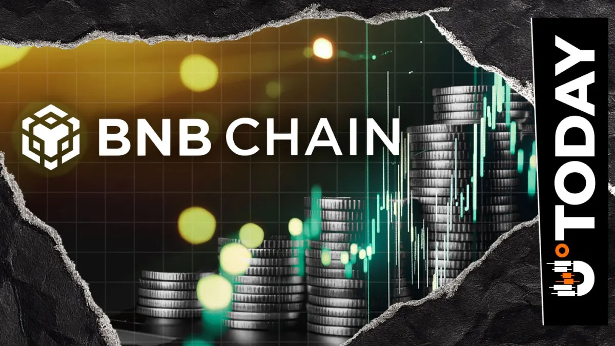 BNB Chain Leads in Onchain Activity as Active Addresses Hit 50 Million