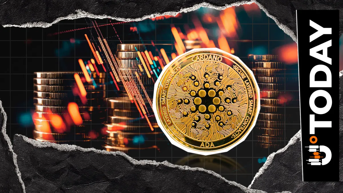 Cardano's Ecosystem Under Threat