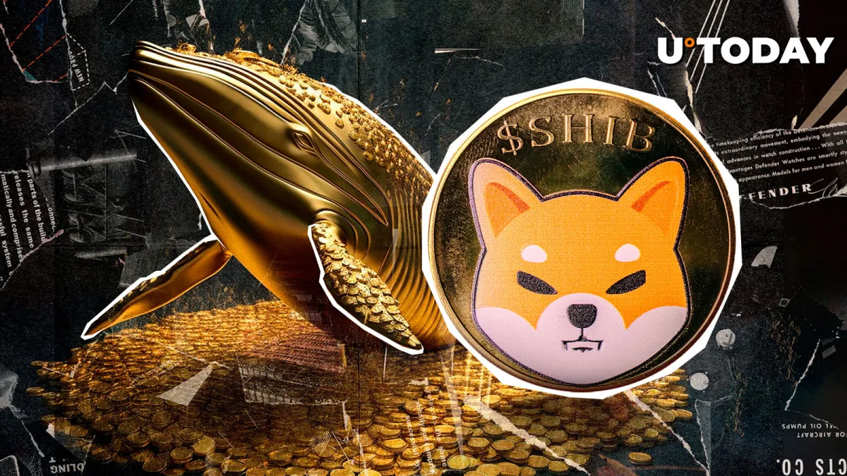 SHIB Expands With 24,000 New Wallets While Whales Hold Firm