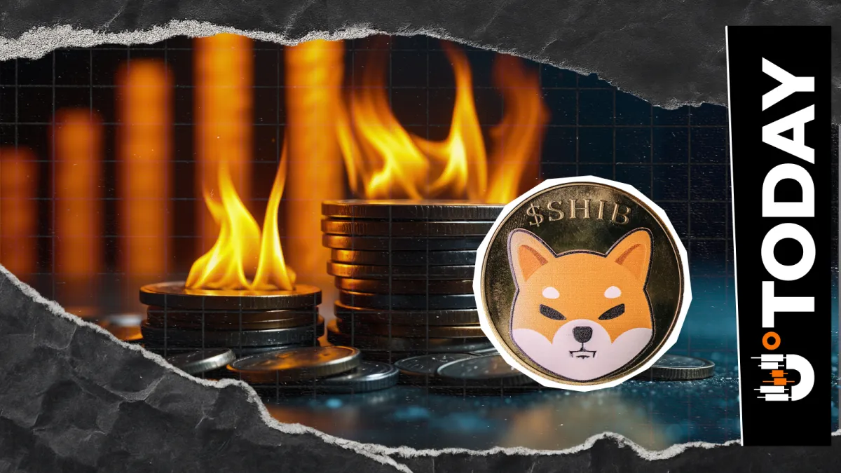Shiba Inu Burn Rate Up 491% as 37.52 Million SHIB Exit Circulation