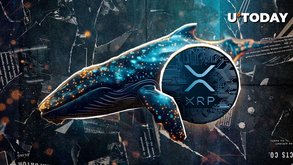 Whales Go on XRP Buying Spree