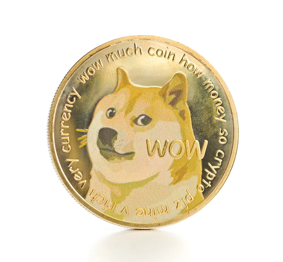 Dogecoin (DOGE) Adds 116% in 24 Hours Volume: What Do Investors Expect?