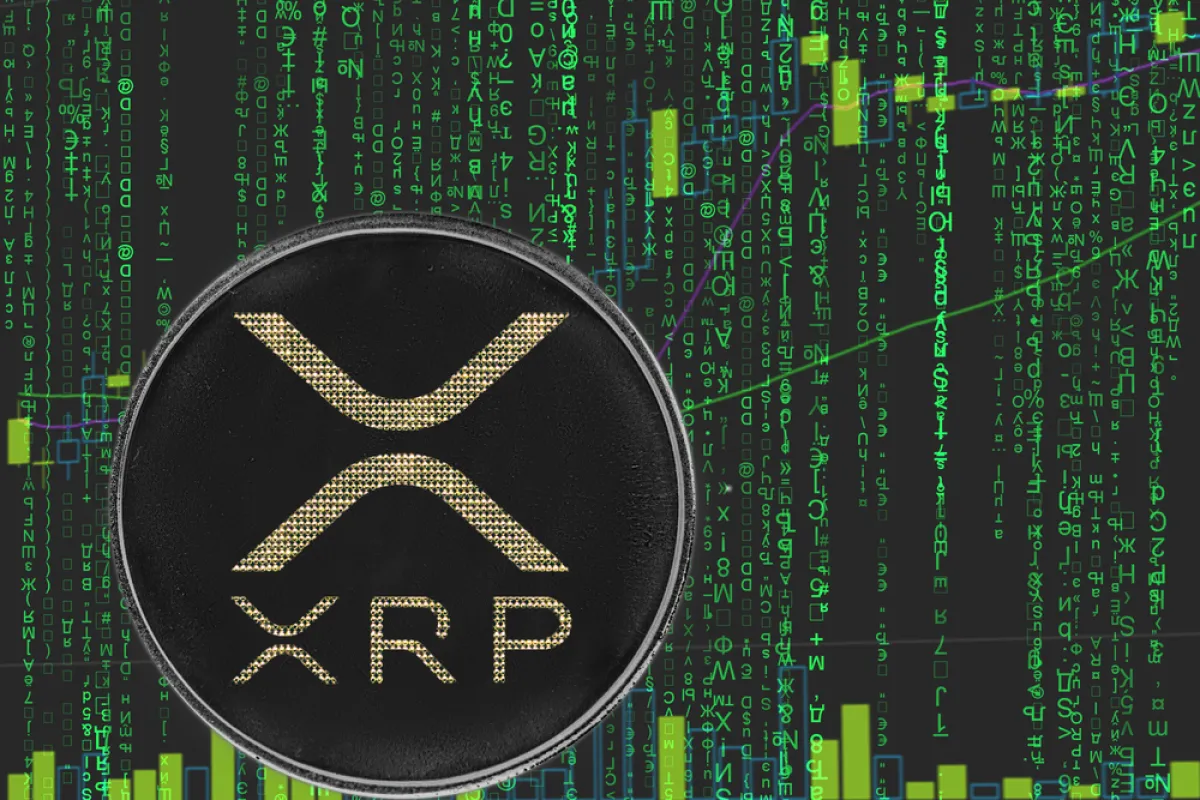 XRP Ledger Payments Spike to 500 Million Threshold, but Yet to Break It