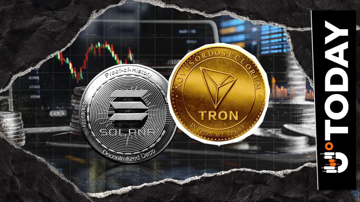 Tron Flips Ethereum and Solana With 3.93M Daily Active Addresses