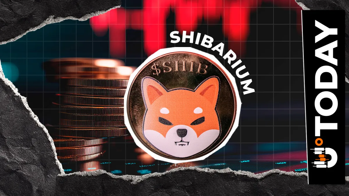 Shibarium Goes Quiet as Shiba Inu Awaits Catalyst