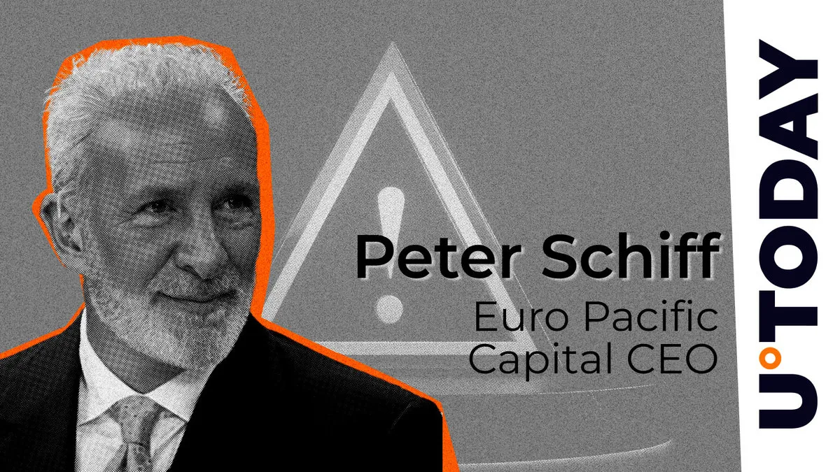 Peter Schiff Blasts MSTR Meltdown