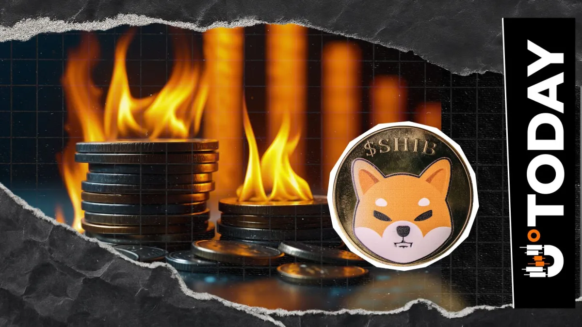 $13 SHIB Only? That's All Shiba Inu Burns This Time Around