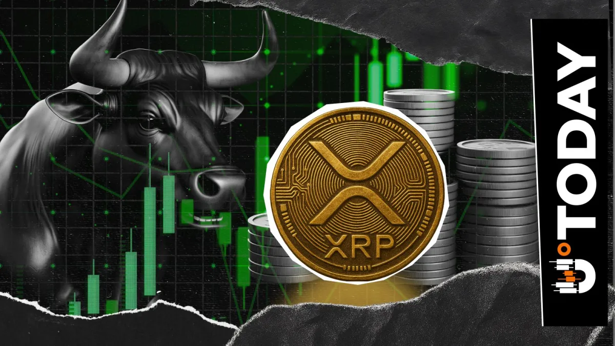 XRP Rally Backed by Whale Accumulation