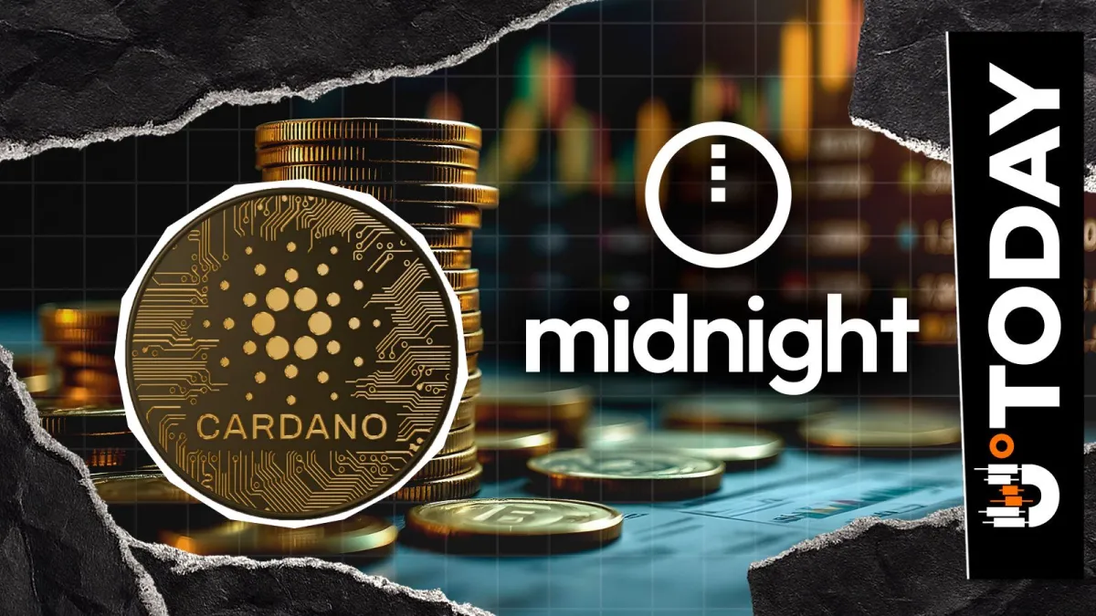 515 Million NIGHT Exploit Update: 7 Major Exchanges Lock Down Stolen Funds for Cardano's Privacy Network