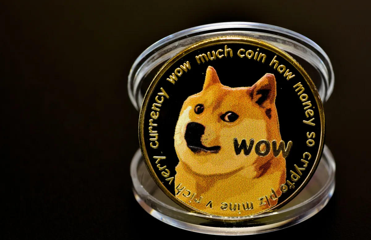 Dogecoin (DOGE) Emerges as Only Top-20 Crypto With Rising Trading Volume