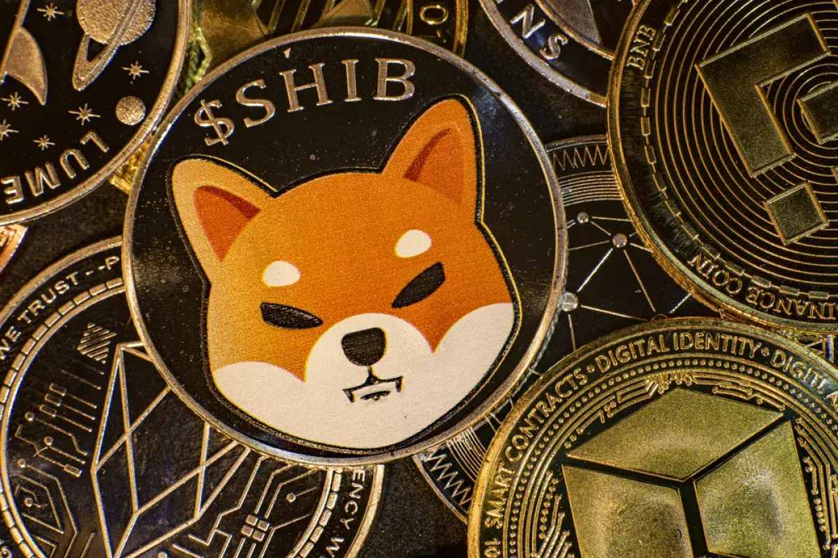 +100% Shiba Inu (SHIB) Exchange Outflow Recorded as Volatility Is Back on the Market