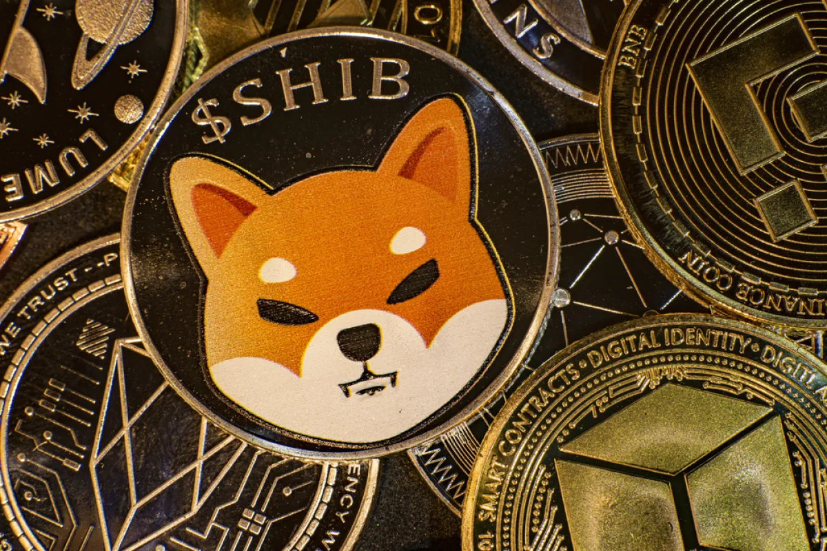 Shiba Inu's (SHIB) 12x Volume Spike in the Recent Rally is Slowly Fading Away