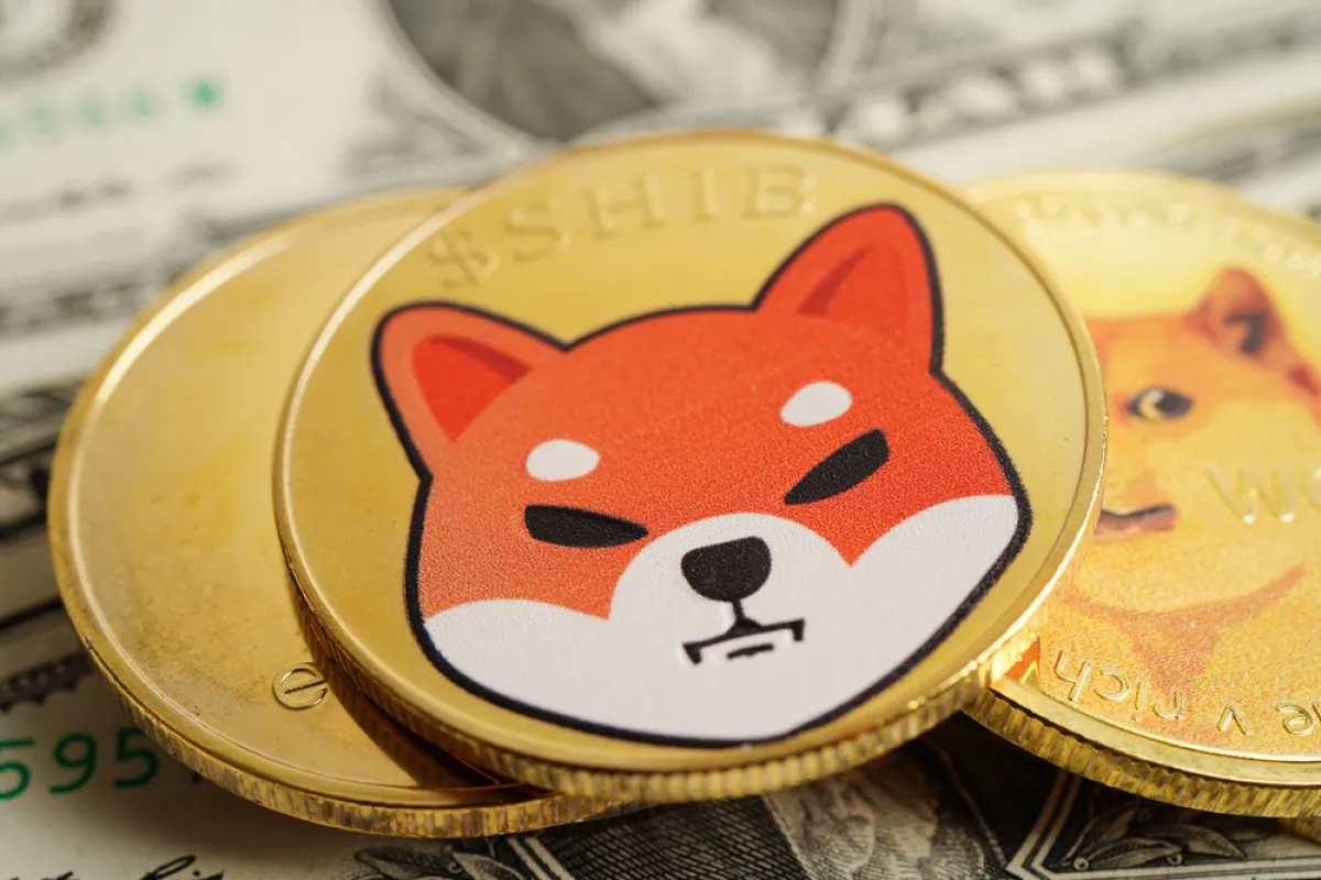 Shiba Inu Adds 60% in Weekly Spot Flows: Explaining What It Means for Price Health