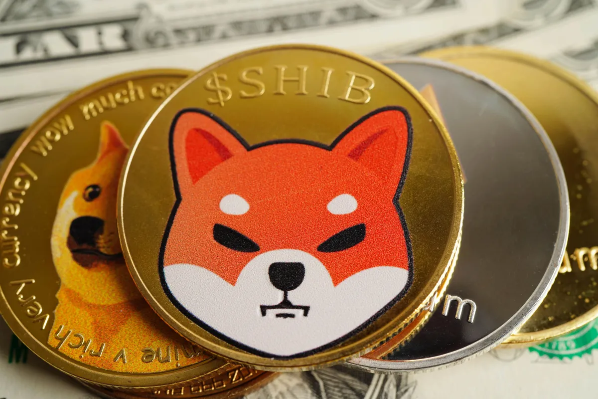 Round 2 for Shiba Inu Coin? Korea's Crypto Exchange Suddenly Re-Organizes 864 Billion SHIB