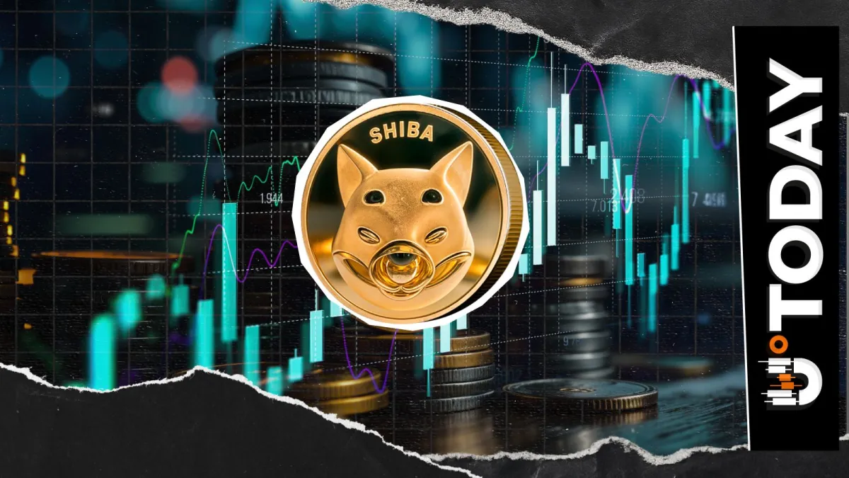 87 Billion Shiba Inu Netflow Flashes Bullish Signal as Price Rallies