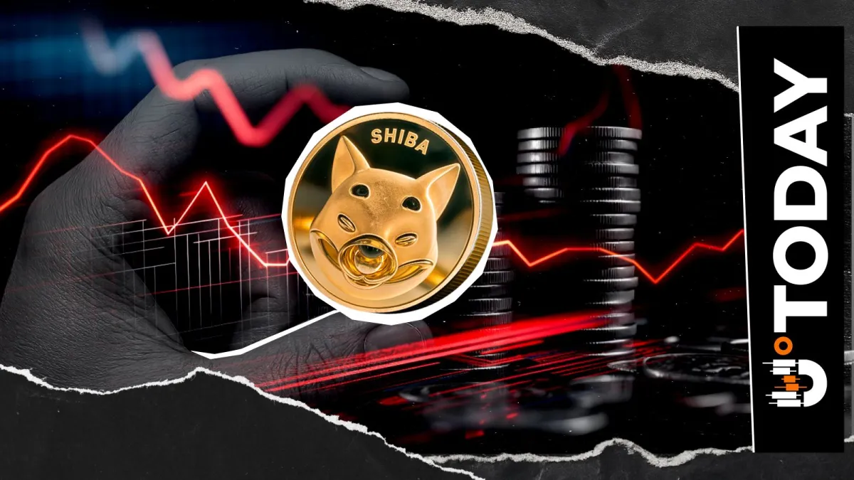 145 Million Shiba Inu Netflow Flashes Bullish Signal
