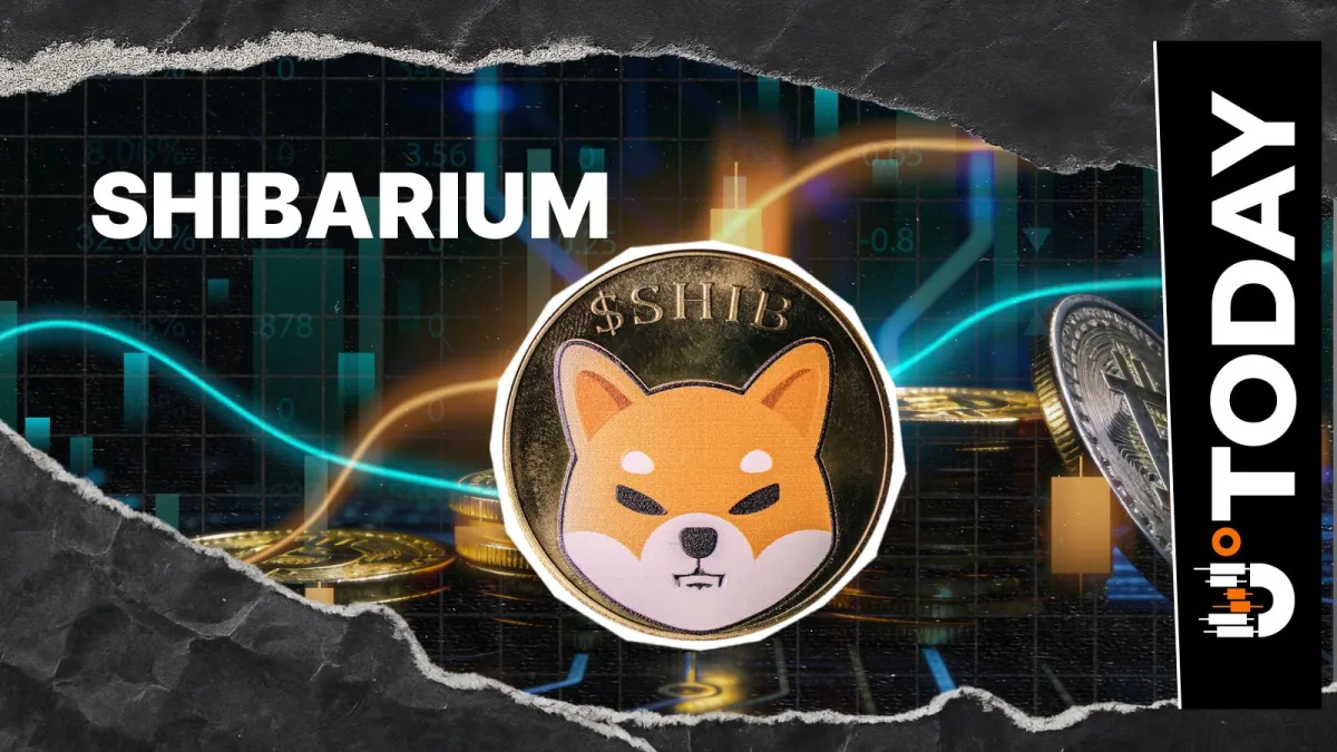 Shiba Inu's Shibarium Posts 95% Drop in DeFi Activity: What's Behind It?