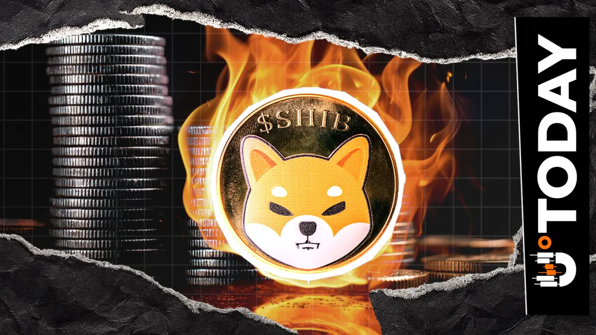3 Million SHIB Sent to Dead Wallet, but Burn Rate Stays Low